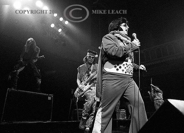 Dread Zeppelin