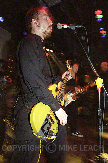 Pansy Division