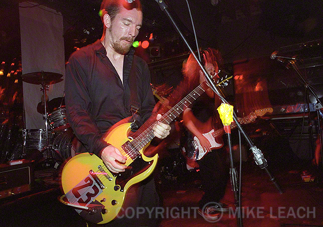 Pansy Division